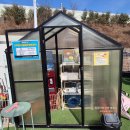 사계절, 멍 | 화성 애견 카페 '댕코리아' 후기 - 사계절 쉘터 완비, 언덕형 운동장이 매력적인 곳