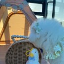 멍펜션2 이미지