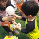참유치원 네이버블로그