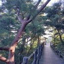 자락길 산책