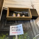 천진교자 개성 손만두 이미지