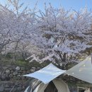 금헌힐링캠핑장 이미지