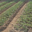 우리 농장 이미지