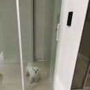 스튜디오아록 이미지