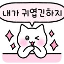 마꾸니라멘＆덮밥 이미지