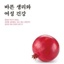 진시장로 이미지