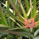 연민농장 이미지