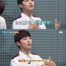 마리 이미지