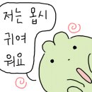 가무댕댕 이미지