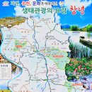 우포늪생태공원 Daum카페