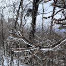 충북 영동 각호산 민주지산 연계 등산코스, 알레(Alle) 버스 후기