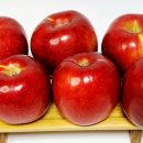 환영2농장 이미지