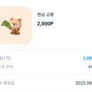 나우테크 | 확실하게 돈 버는 앱테크!!패널나우 사용법 및 후기