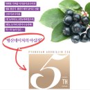 [평산뉴아로니아진스폐셜에디션C3g/아로니아즙/아로니아농축액/아로니아즙먹는법/아로니아즙후기]