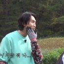 연호 Daum카페