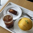 코버트 커피 | 강릉 카페 코버트 내돈내산 후기🤍
