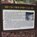 임학주유소 이미지