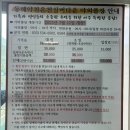 동해망상실버타운 | 동해 약천온천 실버타운 수영장 개장 오픈런 후기