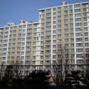 서구-01-151 네이버블로그