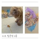 까까앤독 | [오븐베이크] 미트팝콘링 3종 리얼 고기 90% 이상 높은 고기 함량 간식 후기
