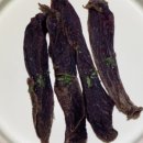 pit a pet (핏어펫) 이미지