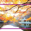 마더스벙커 | 가을 야구는 누가 뭐래도 경헙입니다