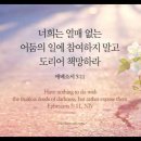 오늘의 '영어성경 사진'(778강) “열매 없는 어둠의 일에 참여하지 마세요”(에베소서 5장 11절) 이미지