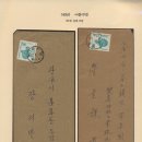 어룡 이미지