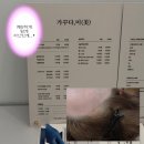 귀.남.미.녀 | [공지] < 서울 > 장안동왁싱맛집 페이스왁싱 추천 장한평역 첫 왁싱한 후기 / 가꾸다, 미 왁싱&스킨바디