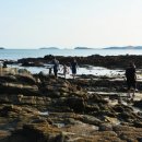 사창해수욕장 이미지