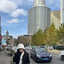 695 | 신흥전승오리 베이징덕 아침시장 도원시장 우니 간식 중국남방항공 대련 비행기 CZ695 편 2박 3일 후기