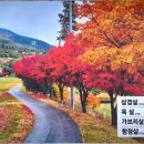 장터청정한우 이미지