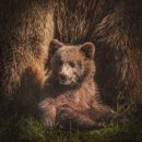 호황농장 이미지