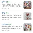 가성비 좋은데 짱 예쁜 무실동 원주꽃집 벨로데이 꽃다발