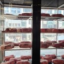 해운대역 | 광안목 해운대｜해운대역 삼겹살 추천 목살 고기집 후기