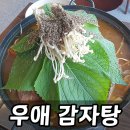 우애감자탕 부평점 | 부평구청 우애감자탕, 겉절이부터 푸짐한 뼈다귀까지 솔직 내돈내산 리뷰
