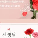 예쁜꽃나라