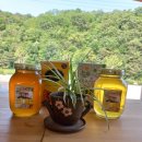 원벌농장 이미지