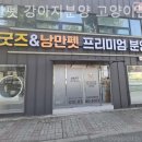 낭만펫 강아지분양 고양이분양 대전 본점 이미지