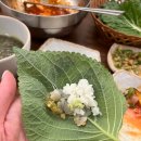 해운대싱싱뽈락회 | 해운대 횟집/ 자연산 통영 뽈락 세꼬시 전문 횟집, 싱싱뽈락회 해운대점