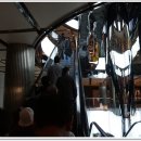 광림목장 이미지