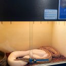 모다아울렛 이미지