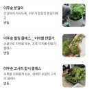 부천시청역 | 부천시청역 카페이뚜 식물카페 디저트 맛집 내돈내산 후기