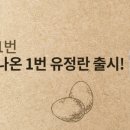 새싹녹즙 이미지