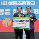 군내초등학교 이미지