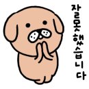 아이피모터스 이미지