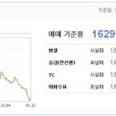 2009년 1년간 주요 외환 환율변동 동향 : 한국, 일본, 캄보디아 이미지