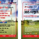 레드골프