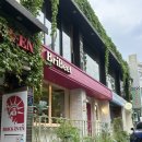 강남역 파스타 | 강남 파스타 청첩장 모임 청모 장소 추천 | 강남역 맛집 '브리비트' 토끼 파스타 후기
