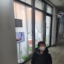 올리브피쉬솝